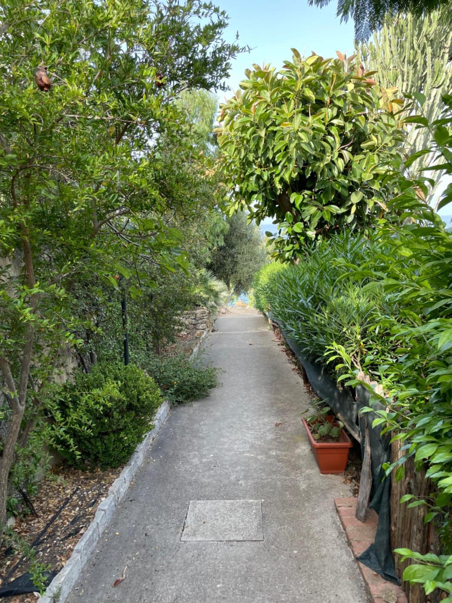 Villa Hibiscus Scopello 스코펠로 외부 사진