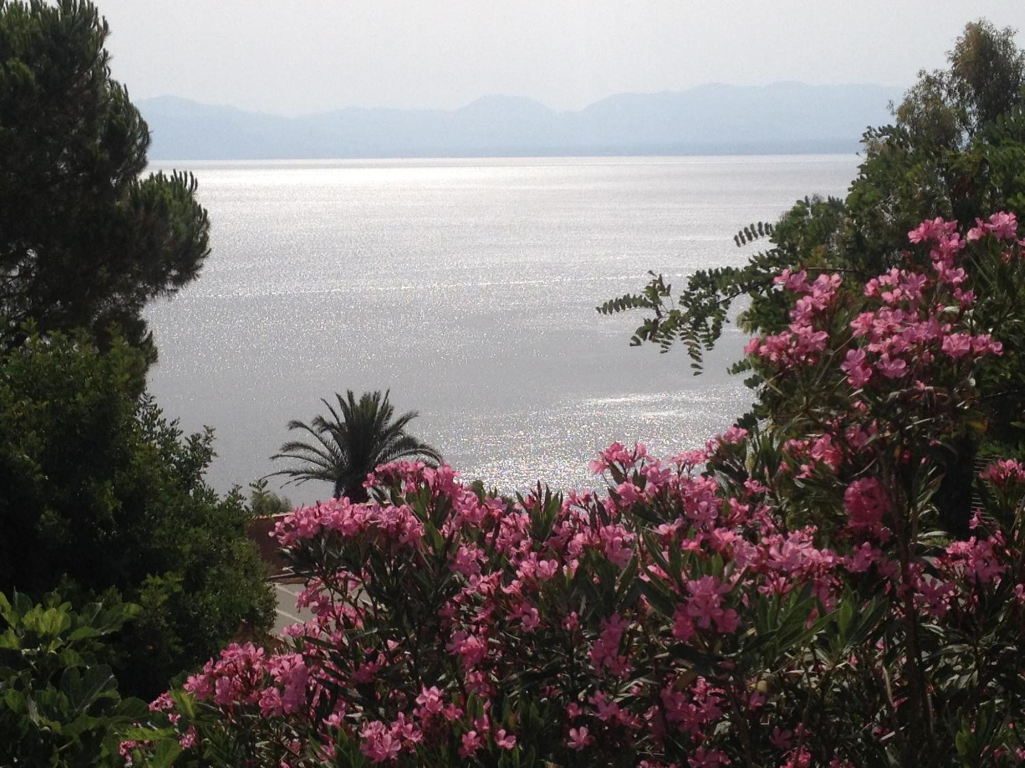 Villa Hibiscus Scopello 스코펠로 외부 사진